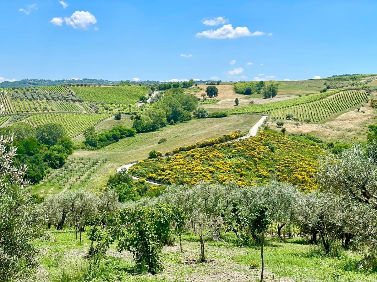 Agriturismo Le Masciare Paternopoli Екстер'єр фото