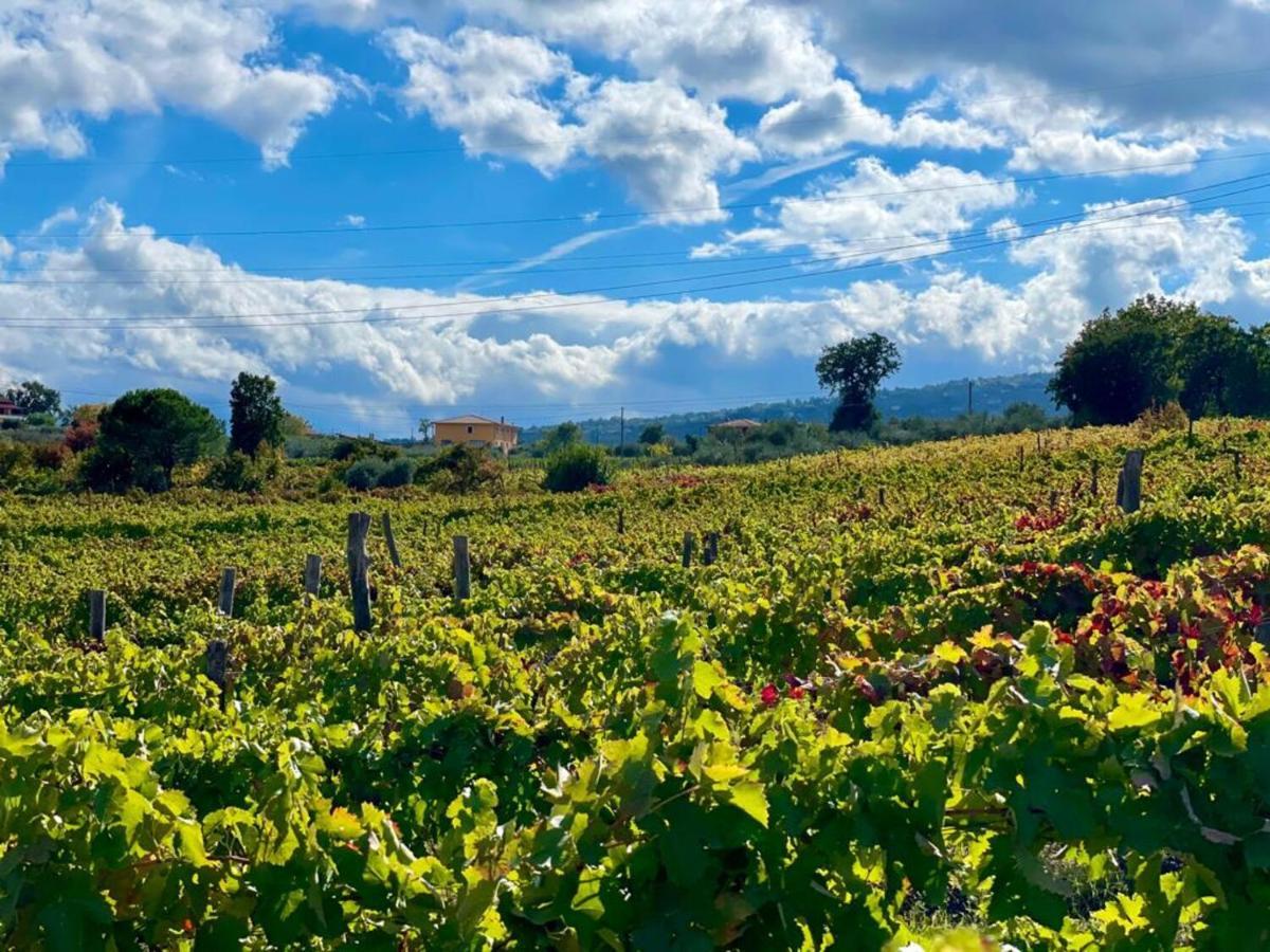 Agriturismo Le Masciare Paternopoli Екстер'єр фото